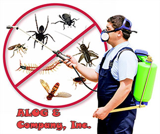 ALOG & Company, Inc.