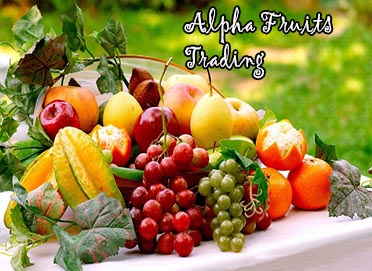 Alpha Fruits Trading