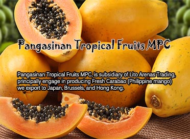 Pangasinan Tropical Fruits MPC