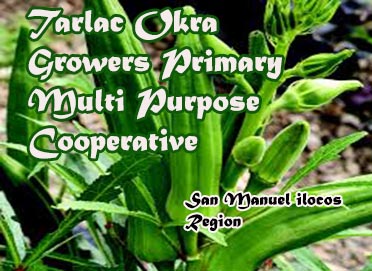 Tarlac Okra Growers Primary Multi Purpose Cooperative