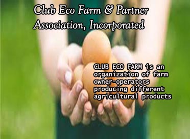 Club Eco Farm & Partner Association, Incorporated