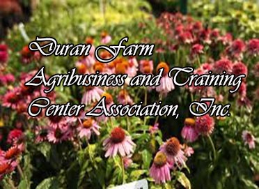 Duran Farm Agribusiness and Training Center Association, Inc.