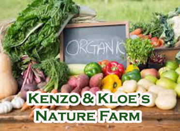 Kenzo & Kloe’s Nature Farm