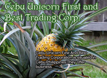 Cebu Unicorn First and Best Trading Corp.