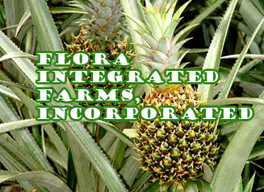 Flora Integrated Farms, Incorporated