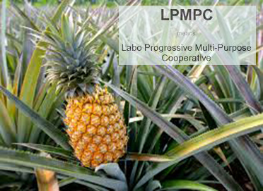 Labo Progressive Multi-Purpose Cooperative (LPMPC)