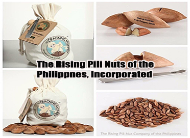 The Rising Pili Nuts of the Philippines, Incorporated