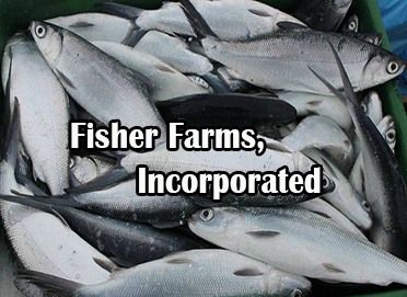 Fisher Farms, Incorporated