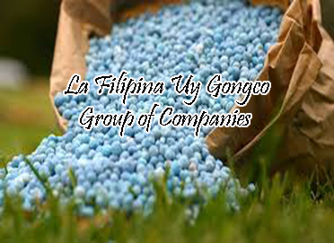 La Filipina Uy Gongco Group of Companies