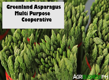 Greenland Asparagus Multi Purpose Cooperative