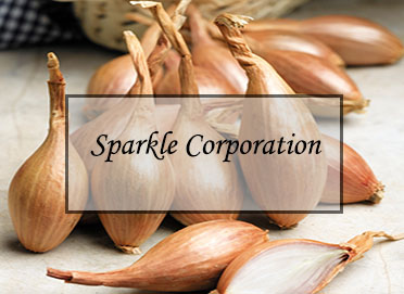 Sparkle Corporation