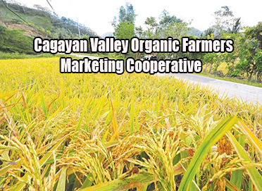 Cagayan Valley Organic Farmers Marketing Cooperative