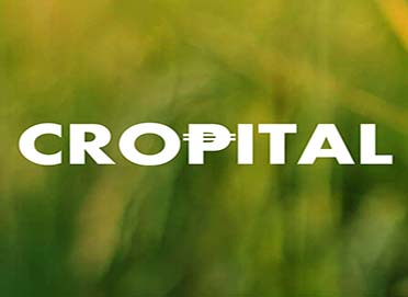 Croptical