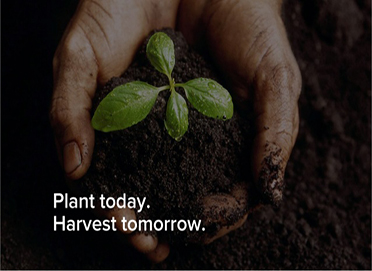 Plant Today Harvest Tomorrow