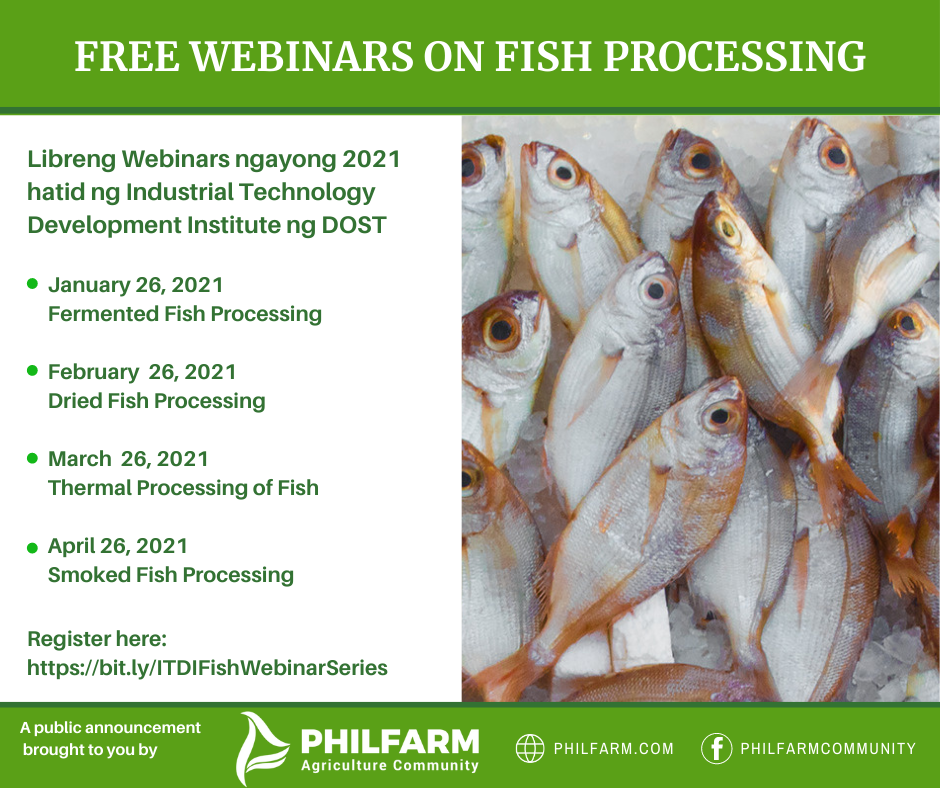 2021 Webinars on Fish Processing