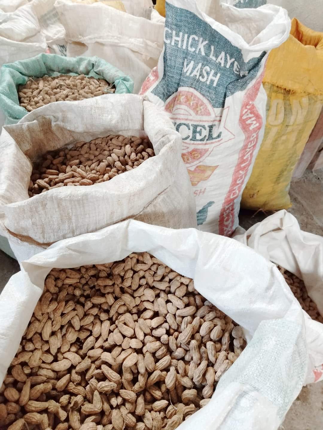 peanut grower/seller