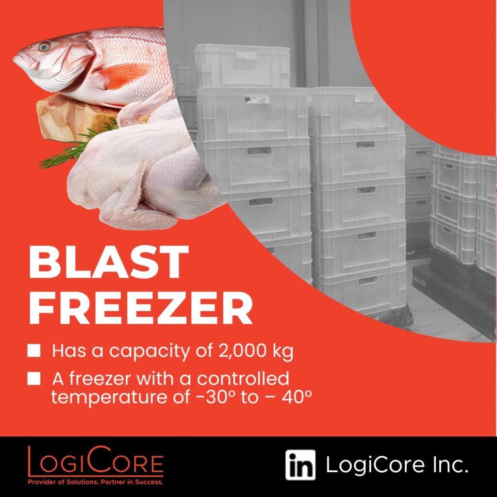 Logicore Cold & Dry Storage Offering